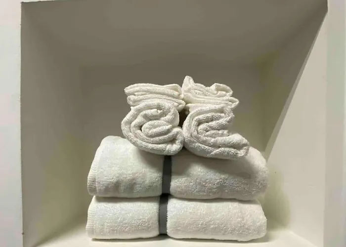 Zan24 La Tua Comfort Zone Nel Cuore Di 볼로냐