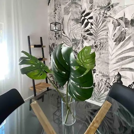 Zan24 La Tua Comfort Zone Nel Cuore Di *